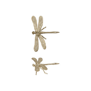 Gold Dragonfly