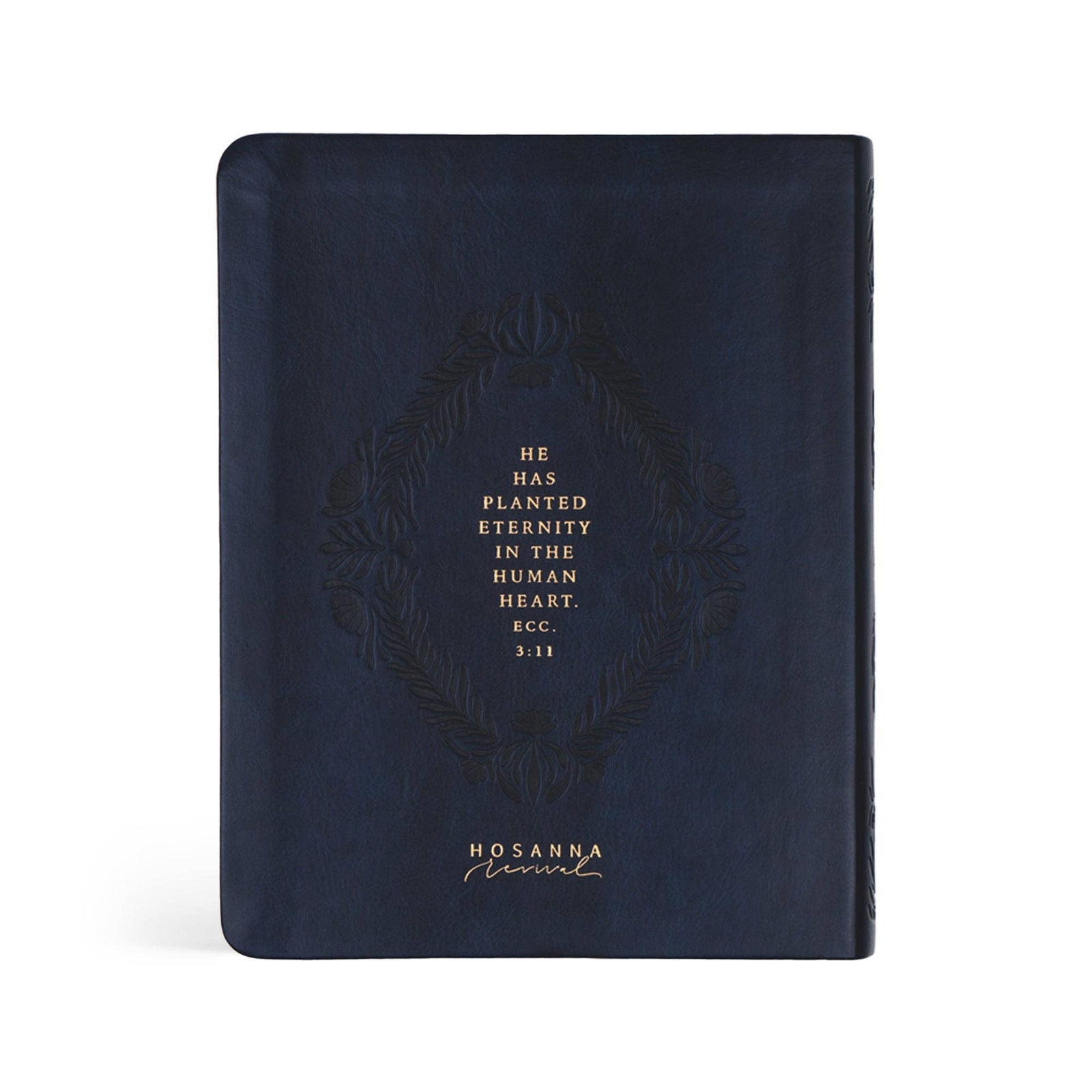 Versailles Theme NLT Notetaking Bible