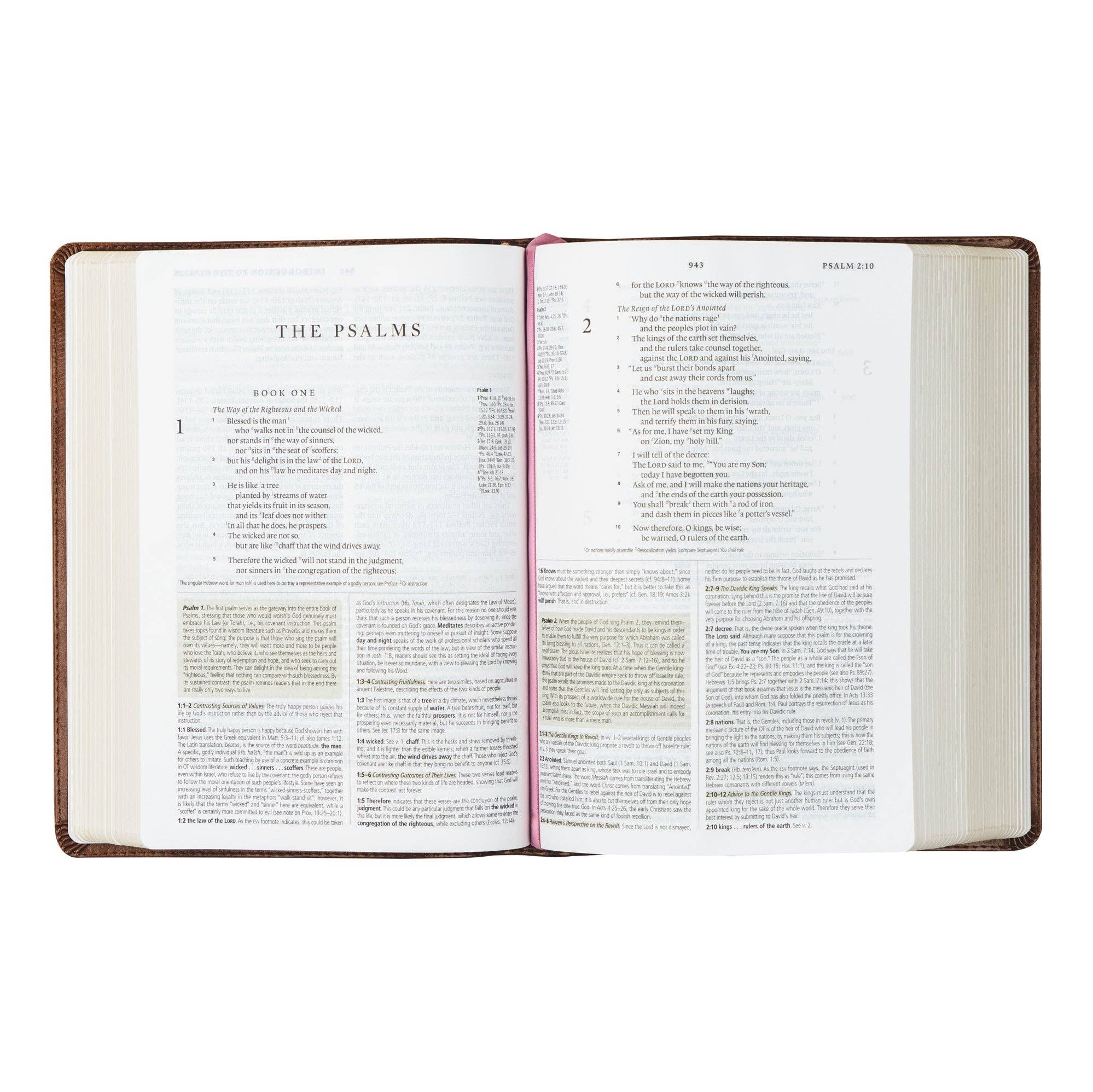 Aurora Theme Study Bible