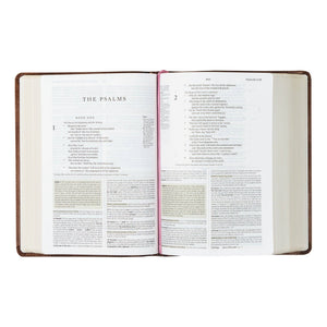 Aurora Theme Study Bible