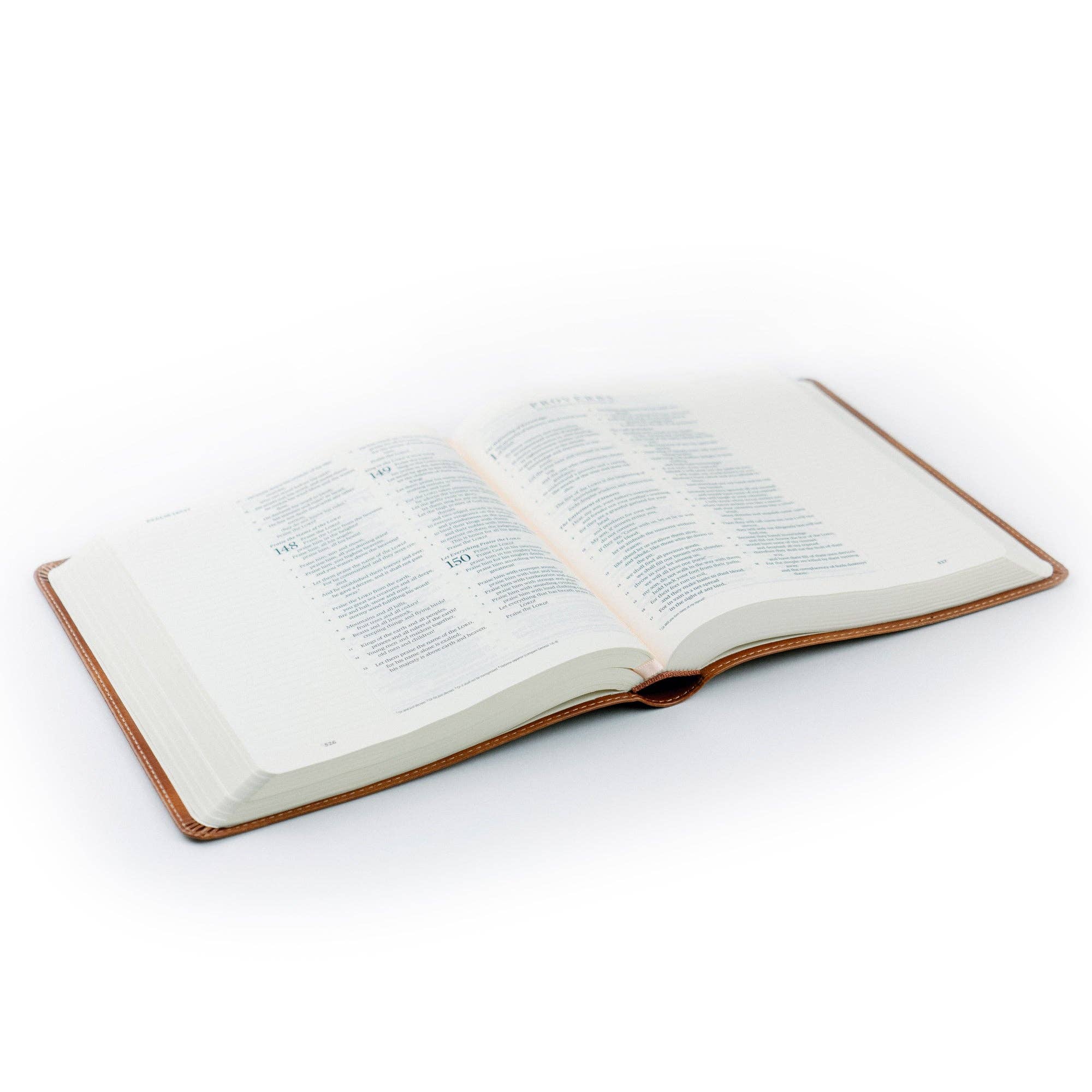 Sierra Theme Bible
