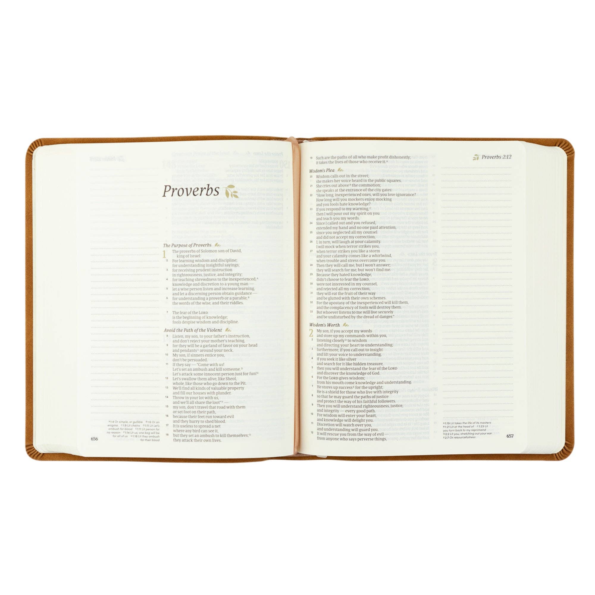 Amelia Theme Bible