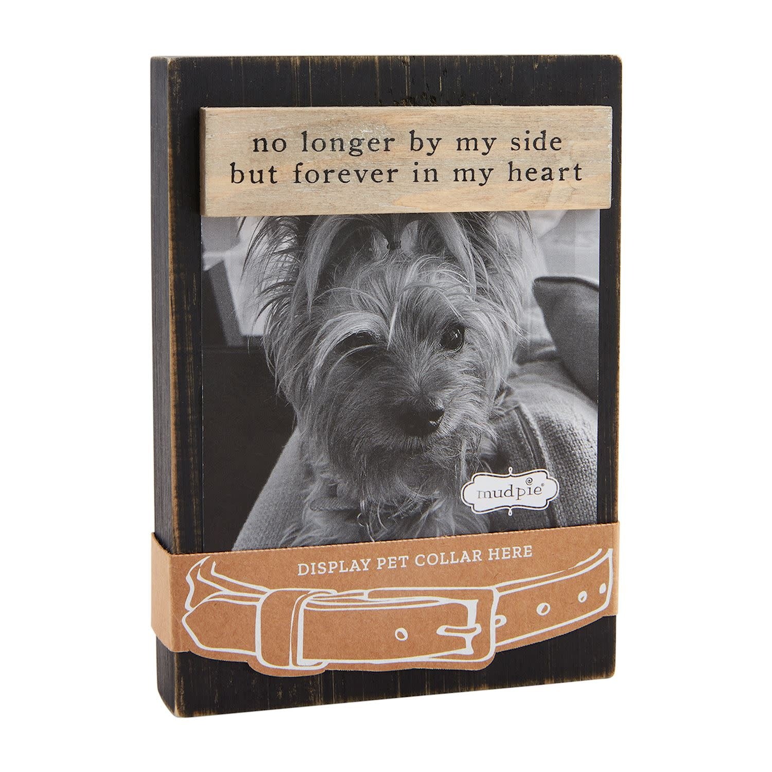 Pet Collar Remembrance Frame