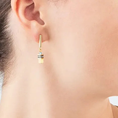 Multicolour Geocube Earrings