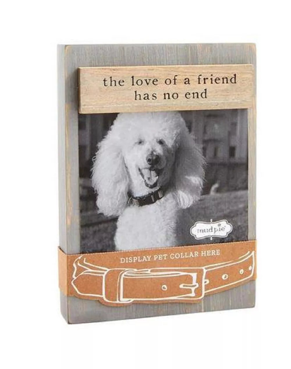 Pet Collar Remembrance Frame