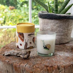 Flora & Fauna Snail Candle