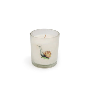 Flora & Fauna Snail Candle