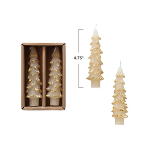 Tree Taper Candles/ gold tipped cream