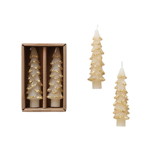 Tree Taper Candles/ gold tipped cream