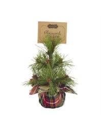 Plaid Tree Place Card Holder